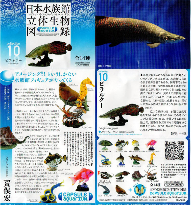 日本水族館立体生物図録1